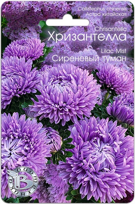 Астра Хризантелла Сиреневый туман китайская 30шт (Биотехника)