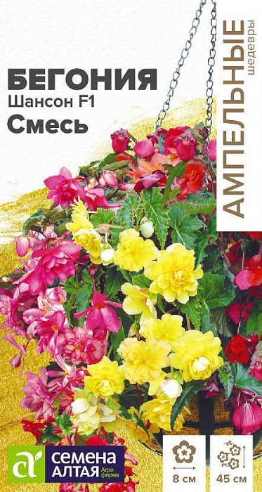 Бегония Шансон Смесь F1 5шт ц/п (СемАлт) Амп.шедевры