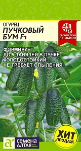 Огурец Пучковый Бум 5шт ц/п (СемАлт)