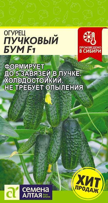 Огурец Пучковый Бум 5шт ц/п (СемАлт)