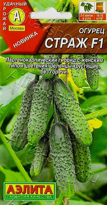 Огурец Страж F1 10шт ц/п (Аэлита)