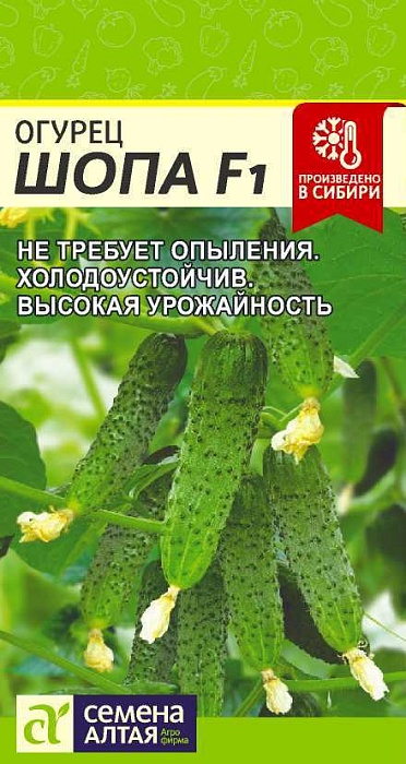 Огурец Шопа F1 5шт ц/п (СемАлт)