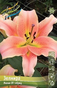 Лилия Зелмира 16/18 1шт (КолЛайн) 3шт/уп