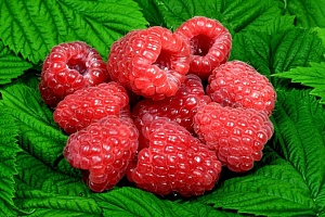 Малина Глен Ди 1шт (КолЛайн)