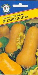 Тыква Жемчужина мускатная 5шт (Престиж) поздняя,масса до 7кг.