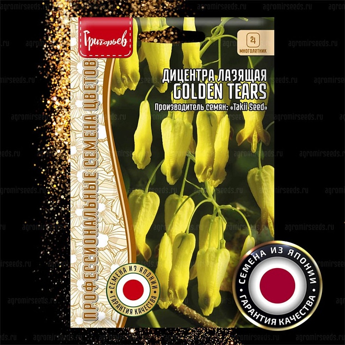 Дицентра Golden Tears лазающая 4шт (Григорьев)