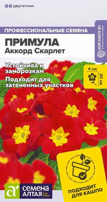 Примула Аккорд Скарлет 5шт ц/п (СемАлт)