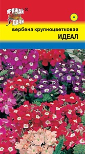 Вербена Идеал 0,1г ц/п (УУ) 