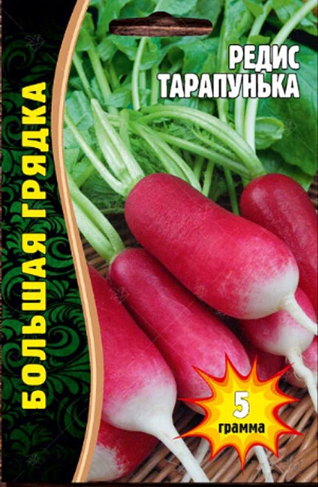 Редис Тарапунька 300шт (Григорьев)