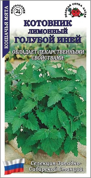 Котовник Голубой иней лимонный 0,1г ц/п (З/Сотка) 