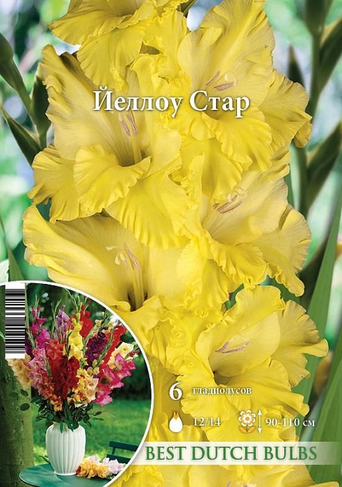 Гладиолус Йеллоу Стар 12/14 1шт (НК) 6шт/уп