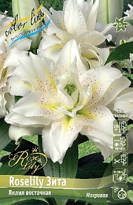 Лилия Roselily&Зита 12/14 1шт (КолЛайн) 5шт/уп