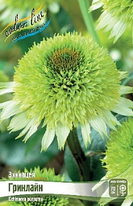 Эхинацея Гринлайн 1шт (КолЛайн)