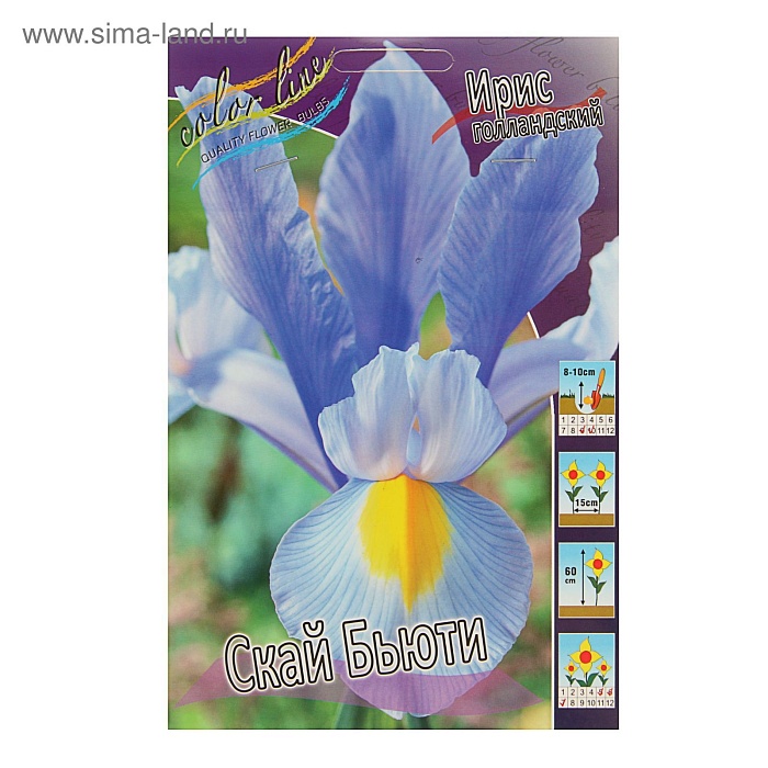 Ирис голландский Скай Бьюти 1шт (КолЛайн) 5шт/уп