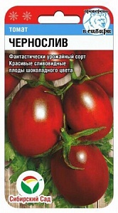 Томат Чернослив 20шт (СибСад)