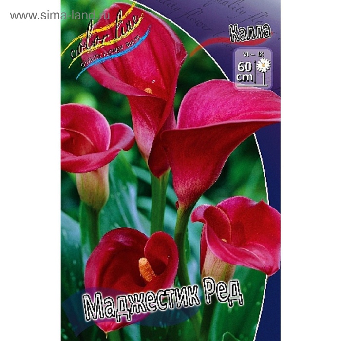 Калла Маджестик Ред 1шт (КолЛайн) 2шт/уп