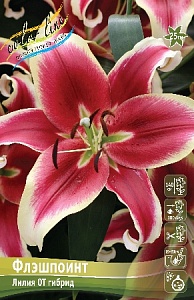 Лилия Флэшпоинт 12/14 1шт (КолЛайн) 5шт/уп