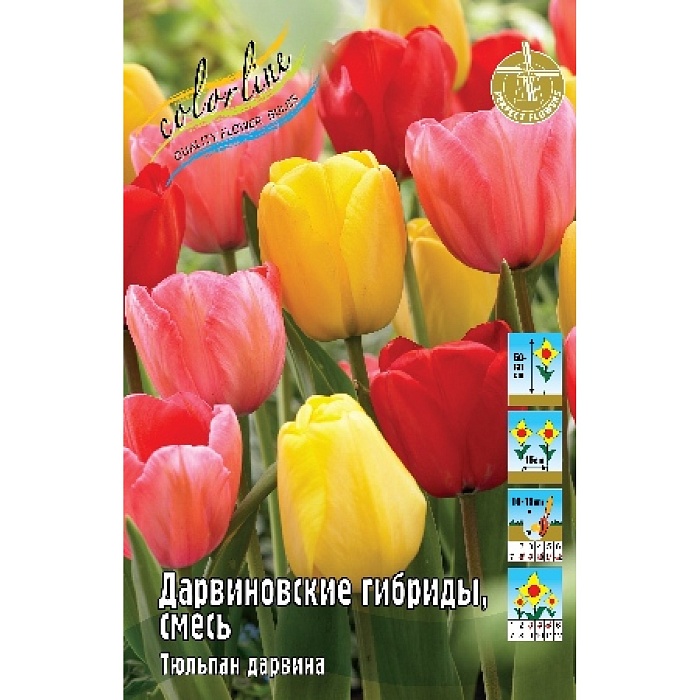 Тюльпан Дарвиновские Гибриды смесь 1шт (КолЛайн) 8шт/уп