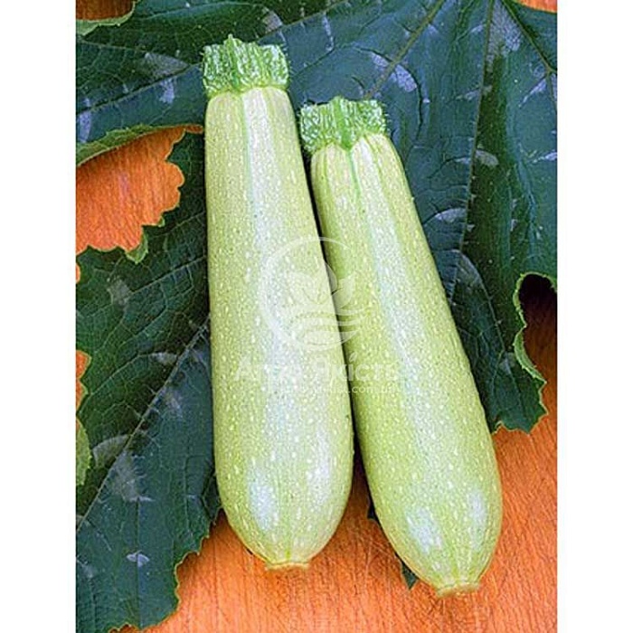 Кабачок Искандер F1 весовой 5 шт