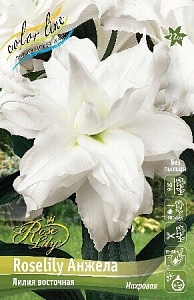 Лилия Roselily Анжела 16/18 1шт (КолЛайн) 3шт/уп