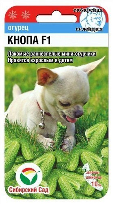 Огурец Кнопа F1 7шт (СибСад) 