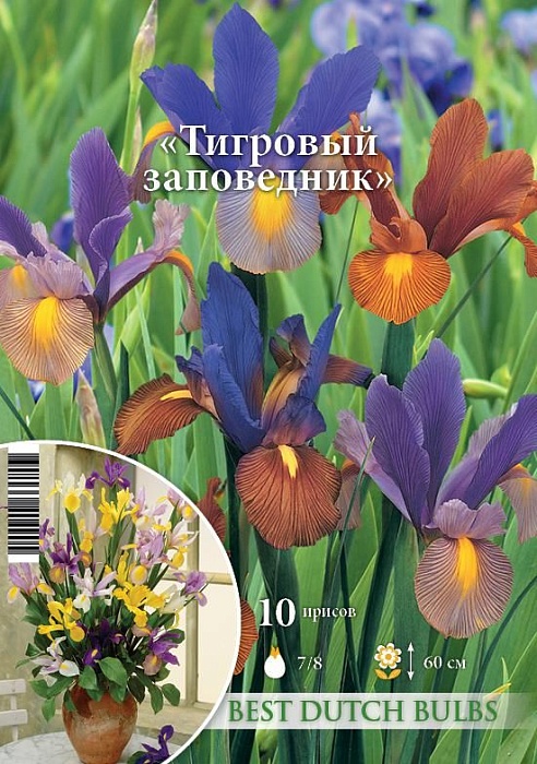 Ирис Тигровый заповедник 7/8 1шт (НК) 10шт/уп