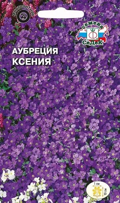 Аубреция Ксения (темно-фиолетовая) 0,1г ц/п (Седек) 