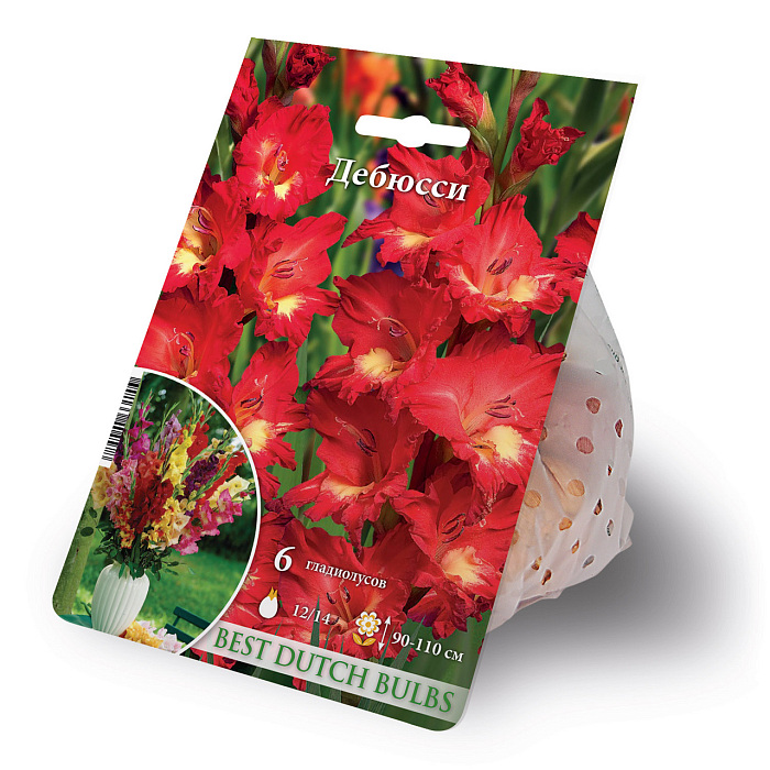 Гладиолус Дебюсси 12/14 1шт (НК) 6шт/уп