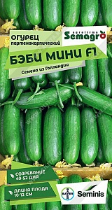Огурец Бэби Мини F1 5шт (СемАгро) 