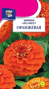 Цинния Лиллипут Оранжевая 0,3г ц/п (УУ)