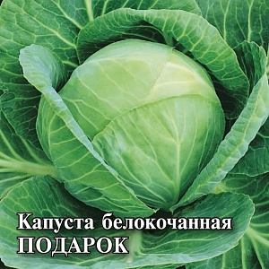 Капуста Подарок 25г (Гавриш)