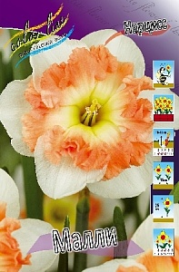 Нарцисс Малли 1шт (КолЛайн) 5шт/уп