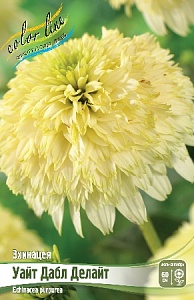 Эхинацея Уайт Дабл Делайт 1шт (КолЛайн)