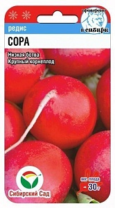 Редис Сора F1 0,5г (СибСад)