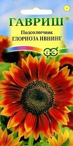 Подсолнечник Глориоза Ивнинг 0,5г ц/п (Гавриш)