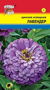 Цинния Лавендер 0,3г ц/п (УУ)