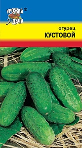Огурец Кустовой 0,5г ц/п (УУ)