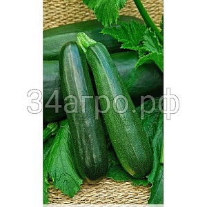 Кабачок Аэронавт цуккини 1кг (ПрСидс)