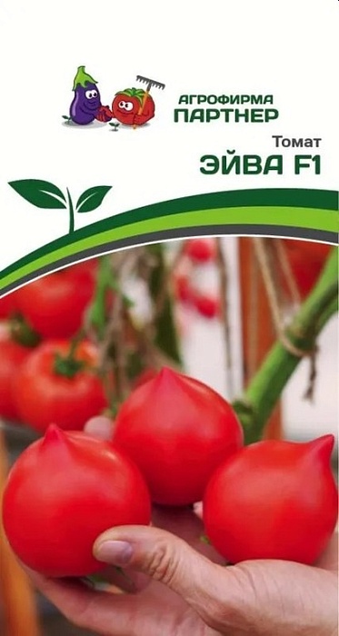 Томат Эйва F1 0.05г (Партнер)