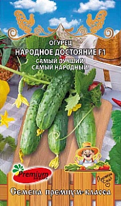 Огурец Народное достояние F1 0,5г ц/п (ПрСидс)