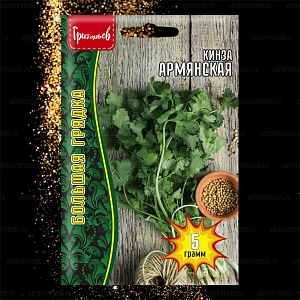 Кинза Армянская 5г (Григорьев)