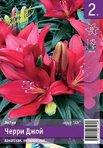 Лилия Черри Джой 10/12 1шт (КолЛайн) 2шт/уп