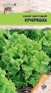 Салат Кучеряшка 0,5г ц/п (УУ) 