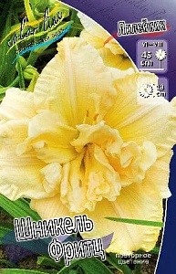 Лилейник Шникель Фритц 1шт (КолЛайн) 