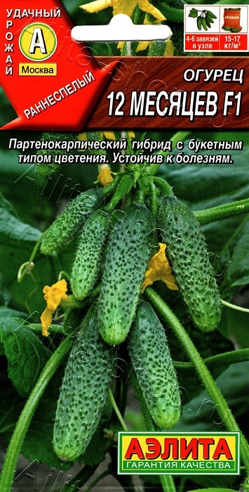 Огурец 12 месяцев F1 10шт ц/п (Аэлита) ранний, партенокар