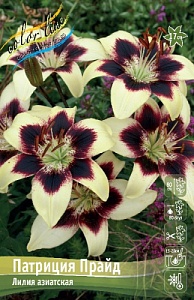Лилия Патриция Прайд 12/14 1шт (КолЛайн) 2шт/уп