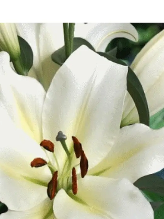 Лилия Гензано 12/14 1шт (КолЛайн) 5шт/уп