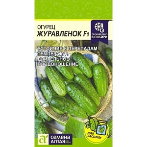 Огурец Журавленок F1 0,3г ц/п (СемАлт)