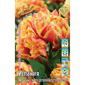 Тюльпан Испания 1шт (КолЛайн) 8шт/уп