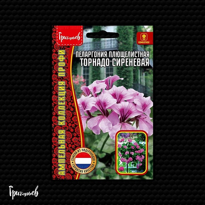 Пеларгония Торнадо Сиреневая плющелистная F1 3шт (Григорьев)